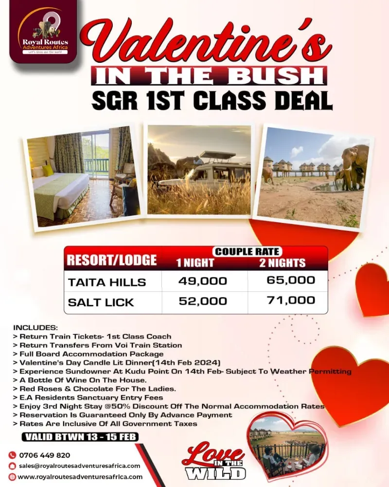 poster for a valentines in the bush